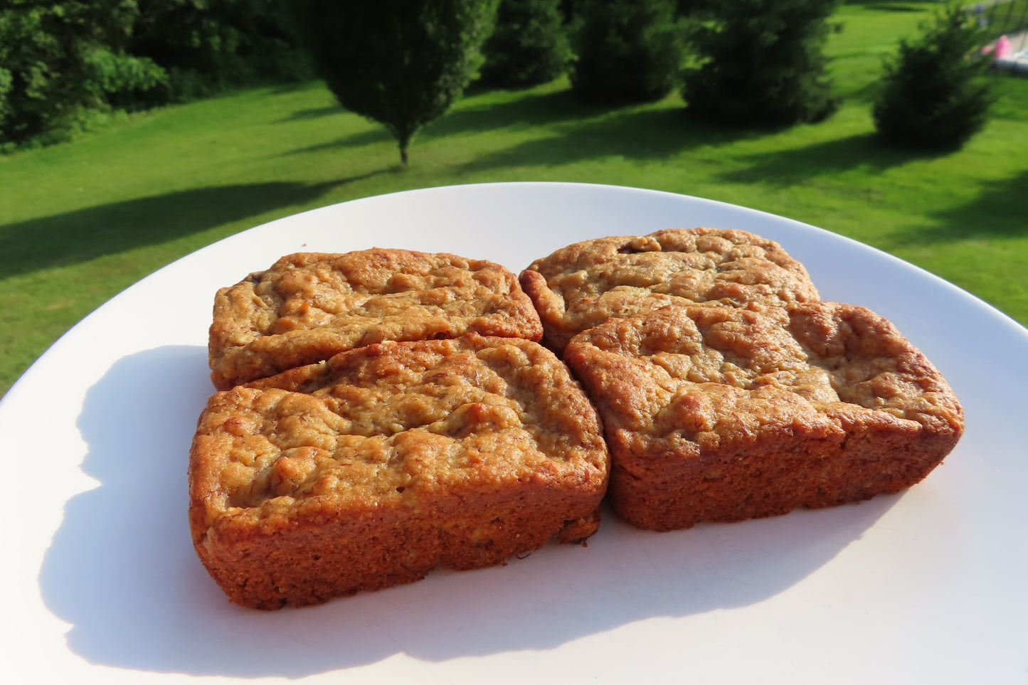 protein banana bread