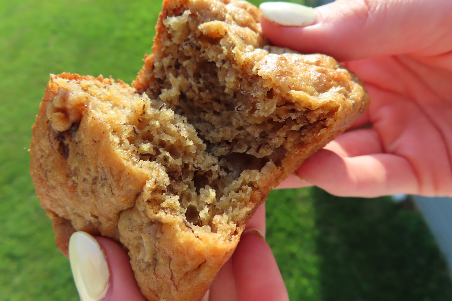 protein banana bread