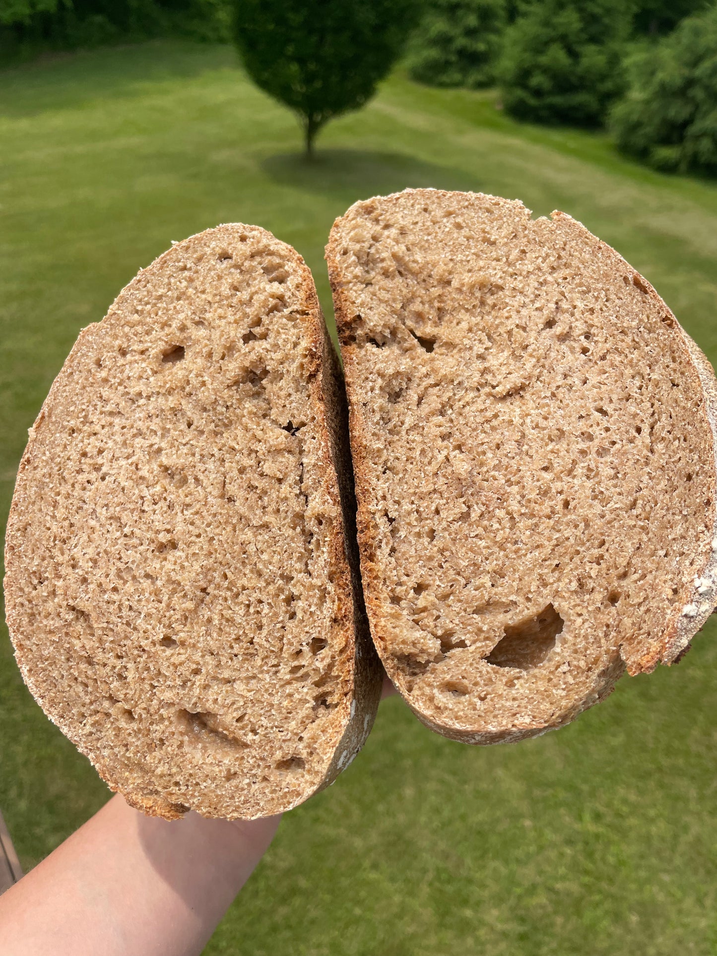Classic Sourdough Loaf