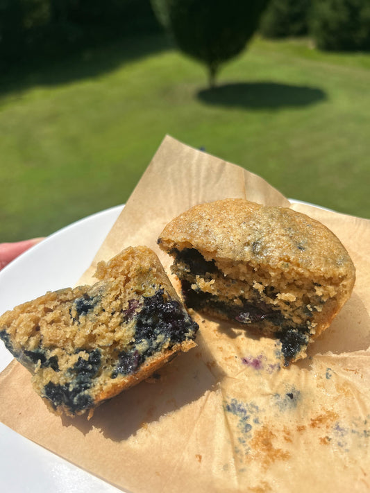 Protein Blueberry Muffins